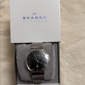 Brand new!!!Skagen Silver Mesh Watch with Black face Dial
